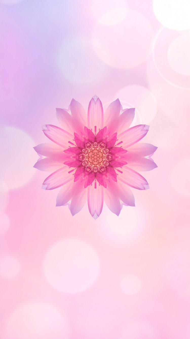 Huawei, Huawei Honor 10, Honneur 10, Honneur 9n, Smartphone. Wallpaper in 750x1334 Resolution