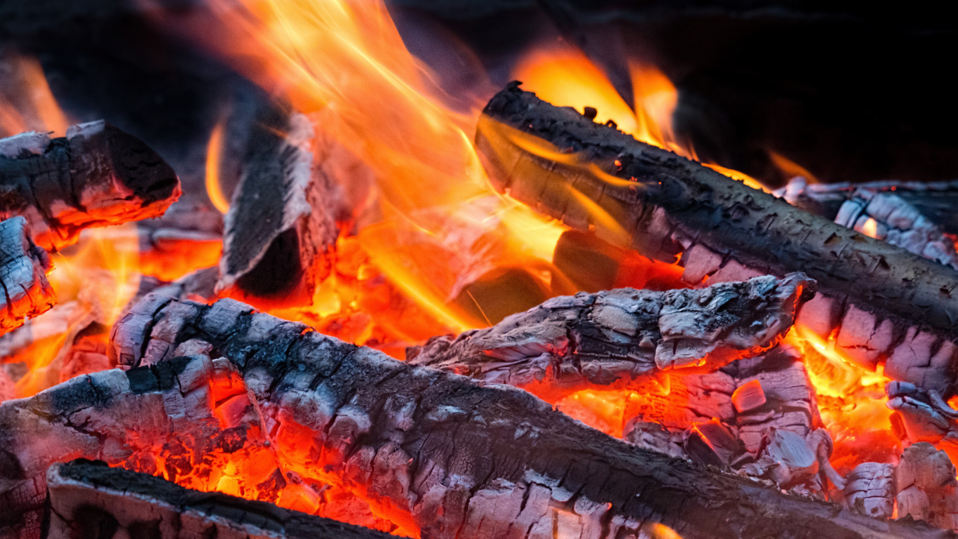 Burning Firewood on Fire Pit. Wallpaper in 1366x768 Resolution