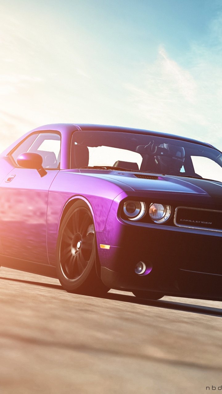 道奇, 躲避毒蛇, 道奇挑战者, Rim, 天空 壁纸 720x1280 允许