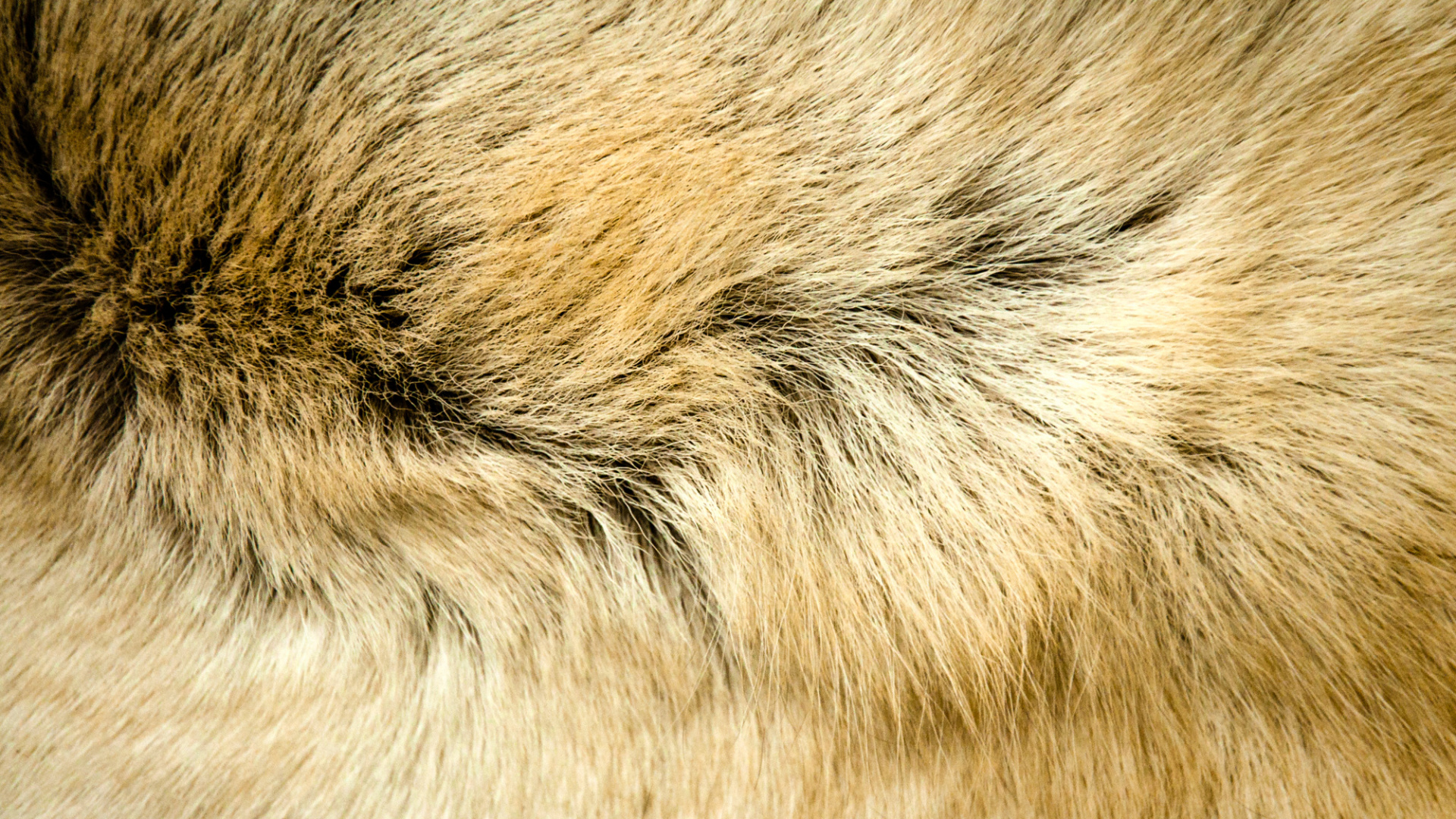 Brown and Black Fur Textile. Wallpaper in 1920x1080 Resolution