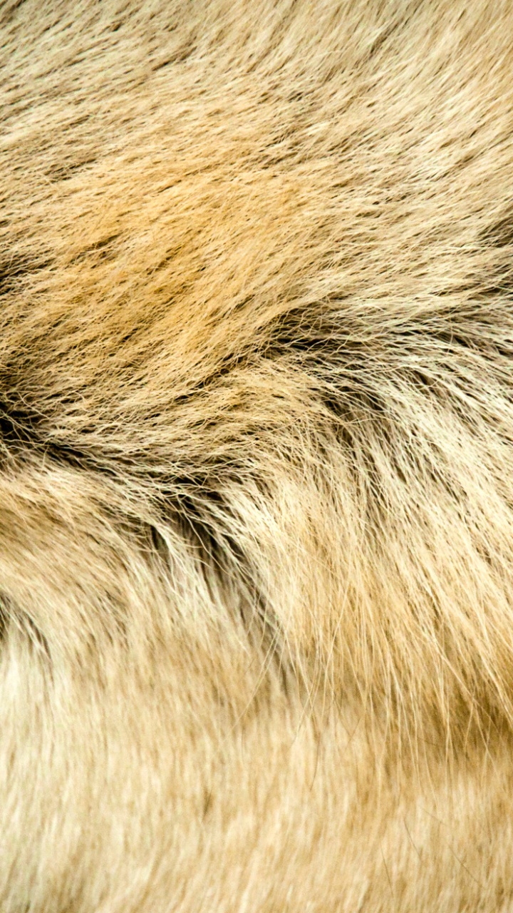 Brown and Black Fur Textile. Wallpaper in 720x1280 Resolution