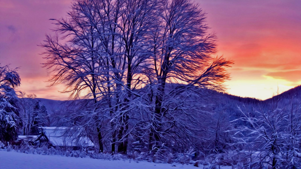 Árbol Sin Hojas en Suelo Cubierto de Nieve. Wallpaper in 1280x720 Resolution