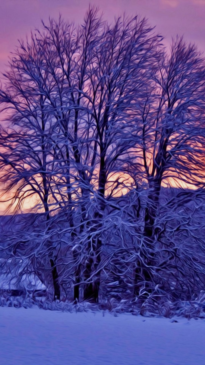 Kahler Baum Auf Schneebedecktem Boden. Wallpaper in 720x1280 Resolution