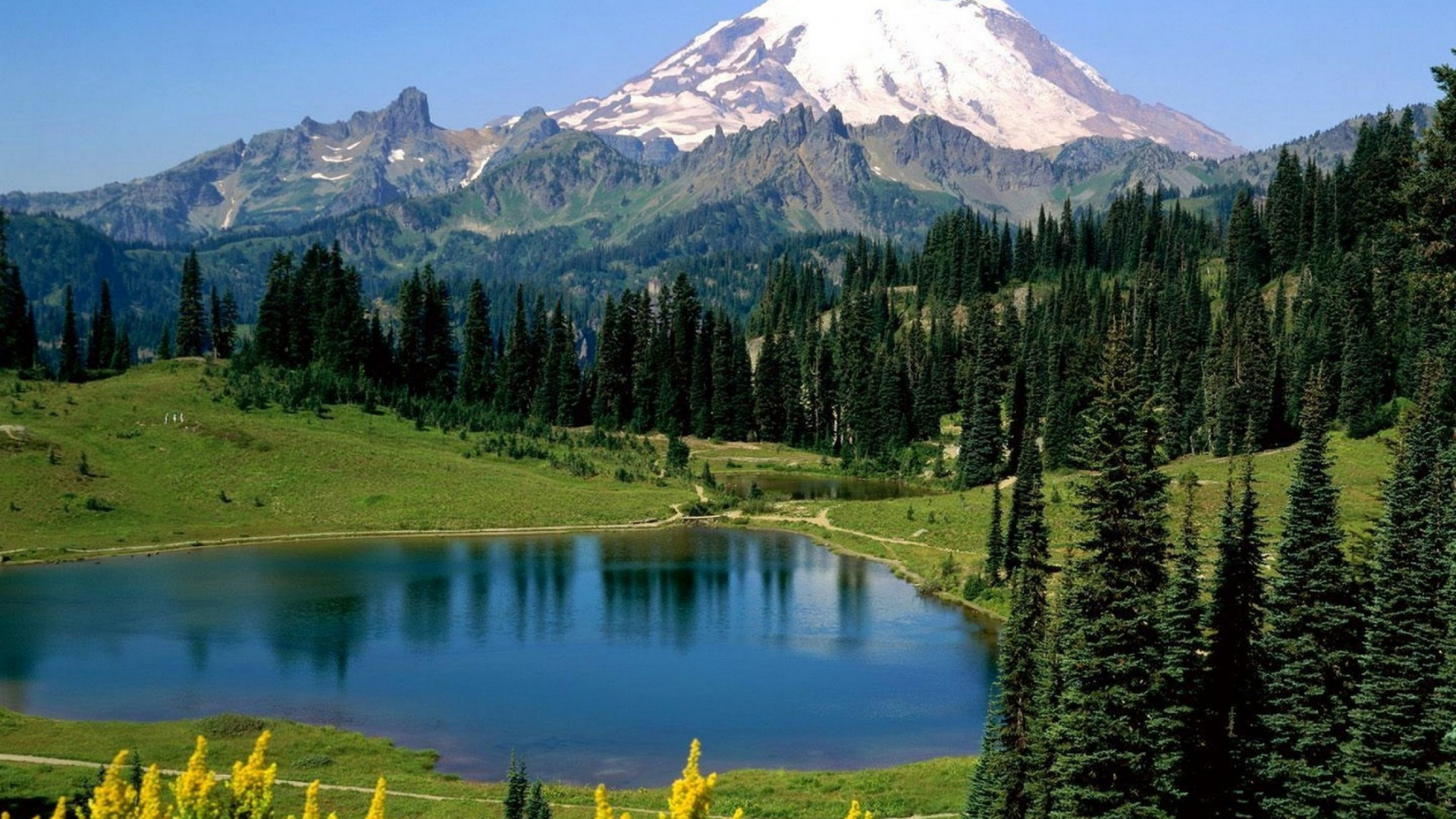 Green Trees Near Lake and Mountain During Daytime. Wallpaper in 1920x1080 Resolution