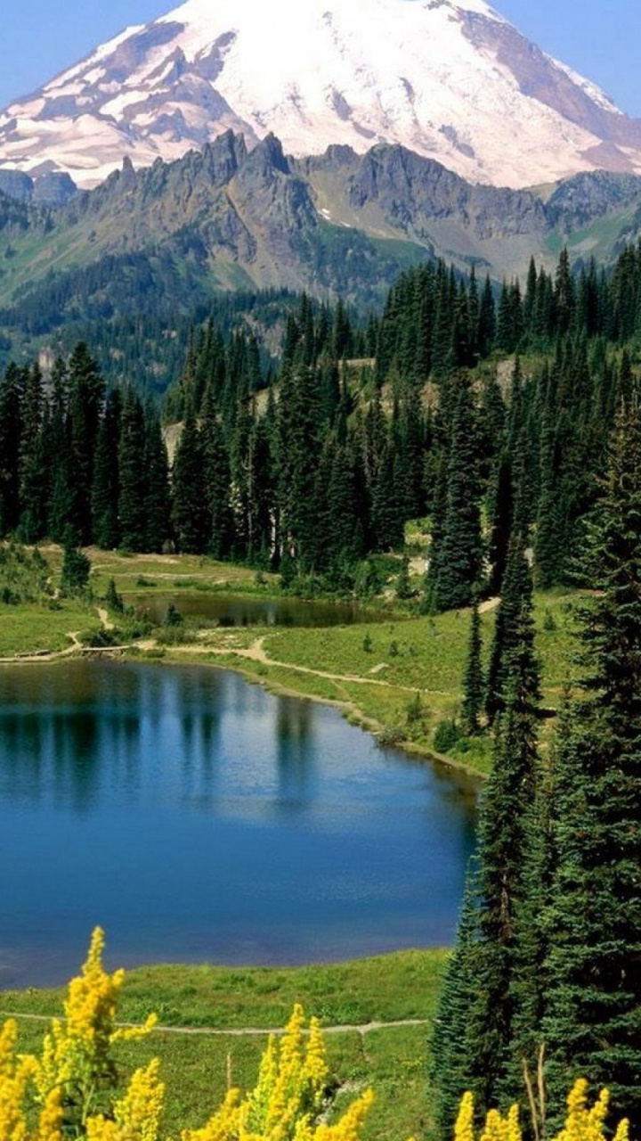 Green Trees Near Lake and Mountain During Daytime. Wallpaper in 720x1280 Resolution