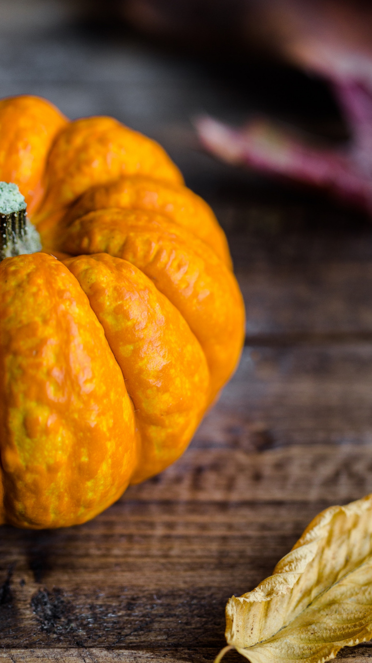 Autumn, Food, Ingredient, Natural Foods, Orange. Wallpaper in 750x1334 Resolution