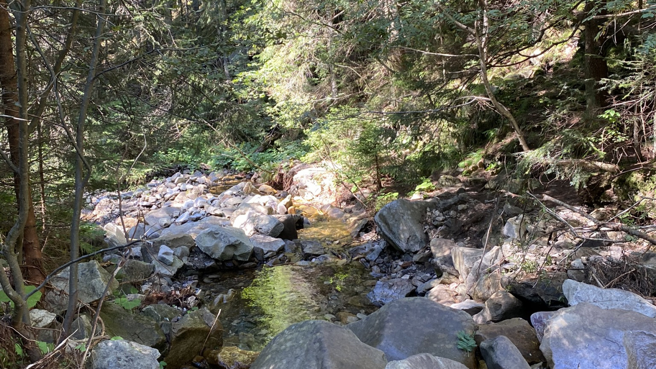 Stream, Wasser, Uferzone, Stream Bett, Wildnis. Wallpaper in 1280x720 Resolution