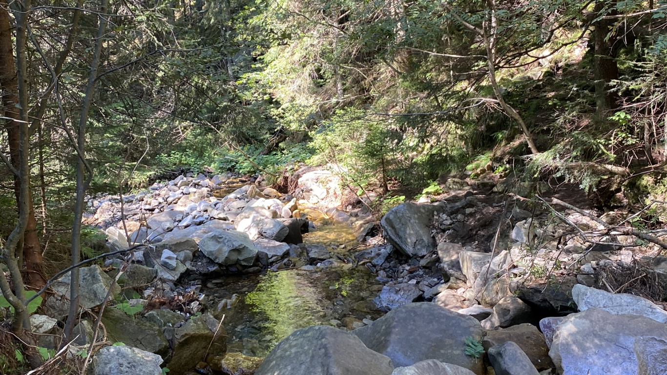 Stream, Wasser, Uferzone, Stream Bett, Wildnis. Wallpaper in 1366x768 Resolution