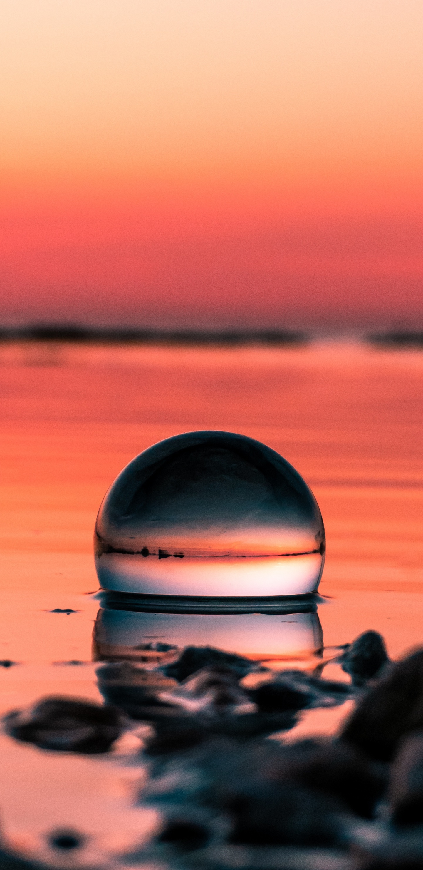 日落, 红色的, 地平线, 反射, 冷静 壁纸 1440x2960 允许