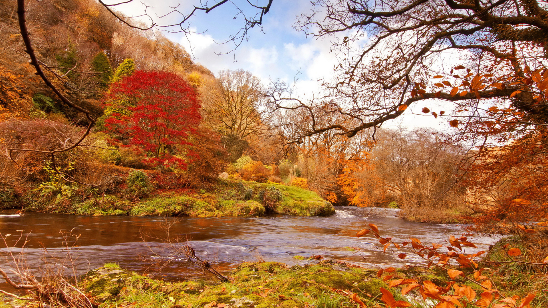 Brown and Green Trees Beside River Under Blue Sky During Daytime. Wallpaper in 1920x1080 Resolution