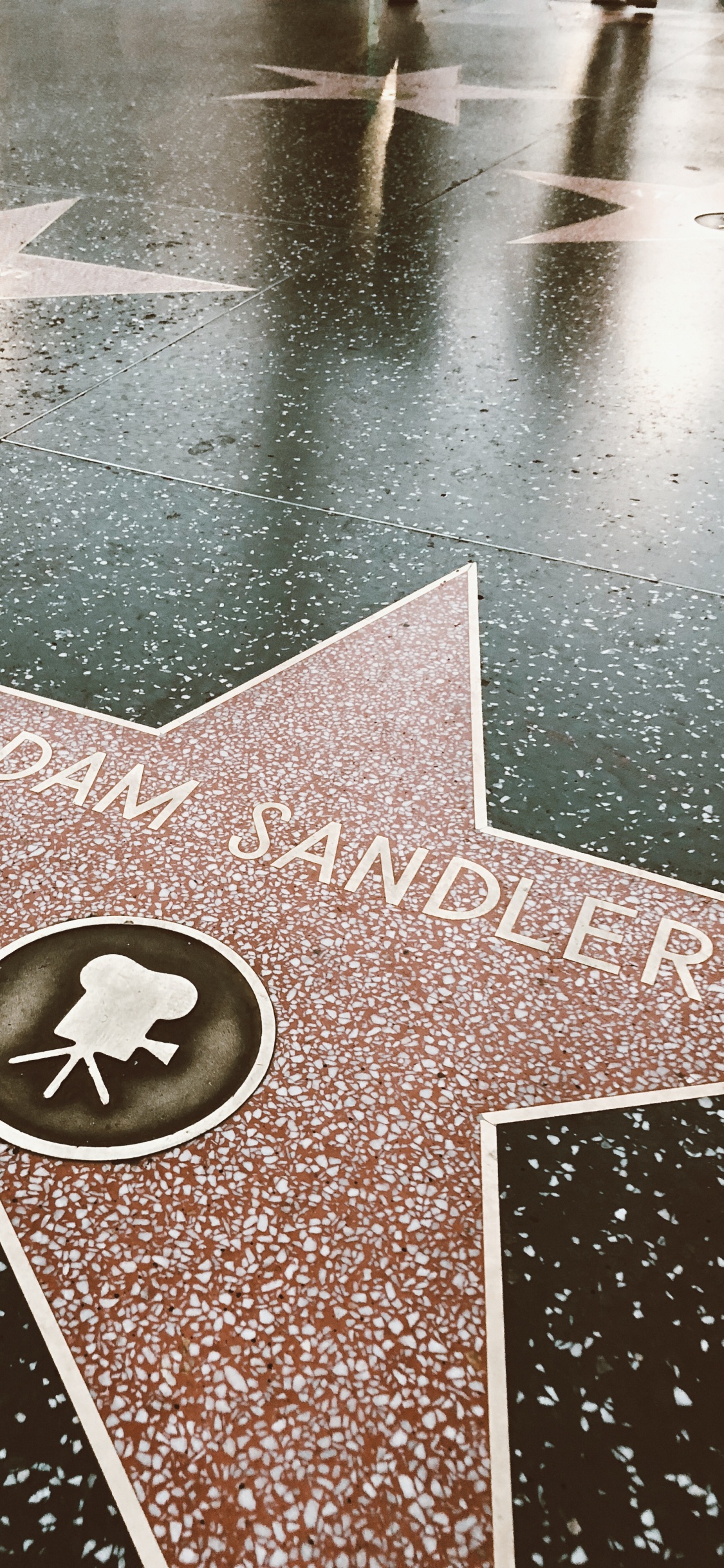 Avenue of Stars, Hollywood, Floor, Road Surface, Meter. Wallpaper in 1125x2436 Resolution