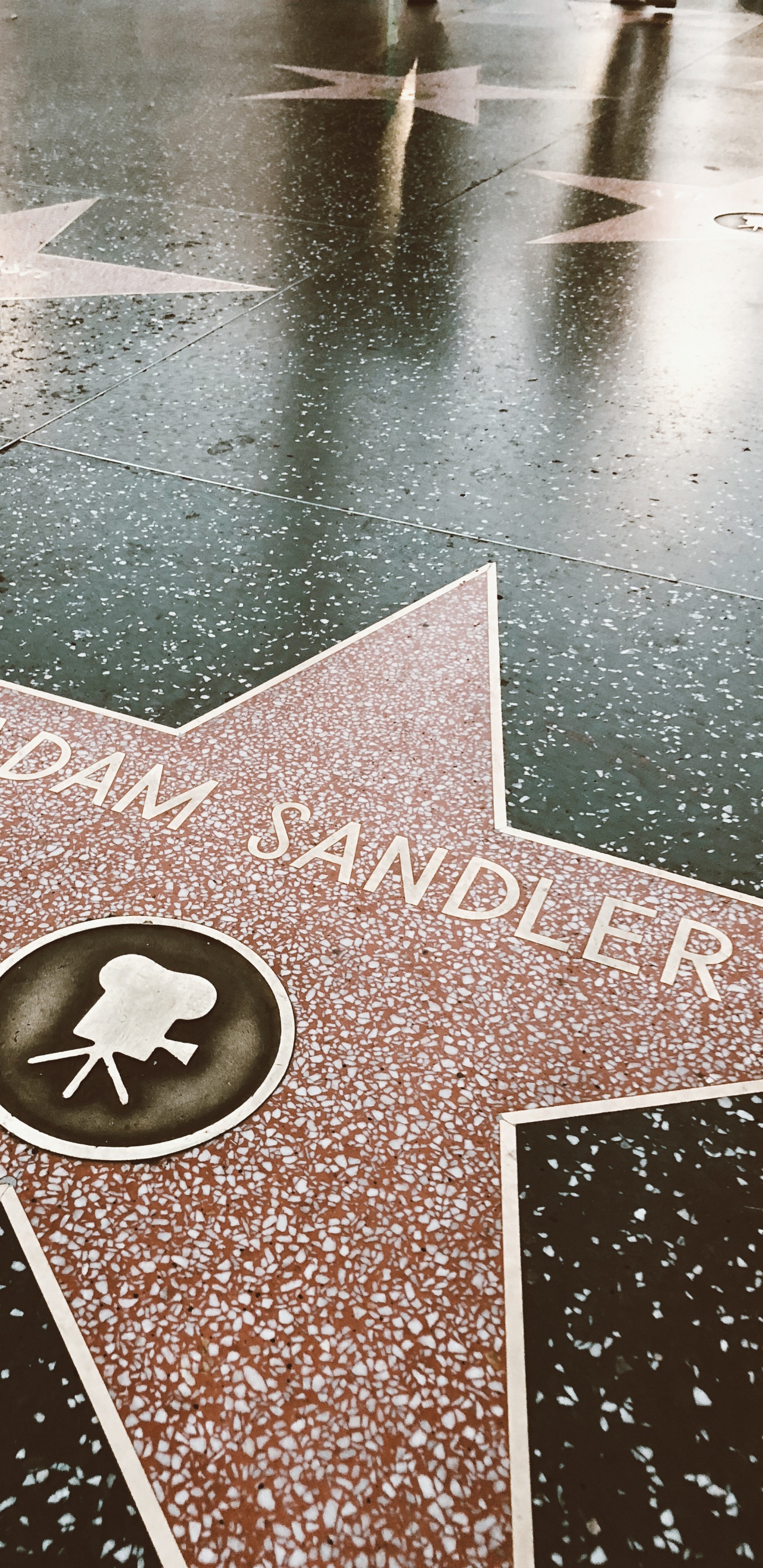 Avenue of Stars, Hollywood, Floor, Road Surface, Meter. Wallpaper in 1440x2960 Resolution