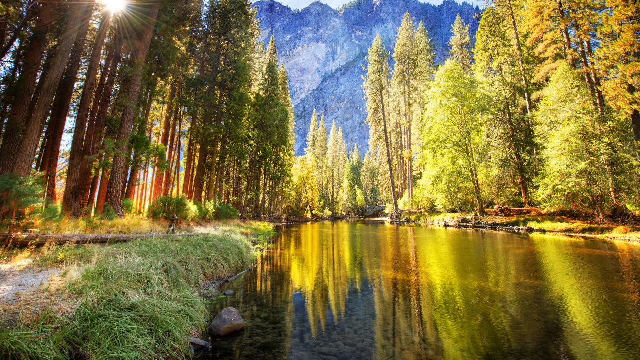 Green and Brown Trees Near Lake During Daytime. Wallpaper in 1280x720 Resolution