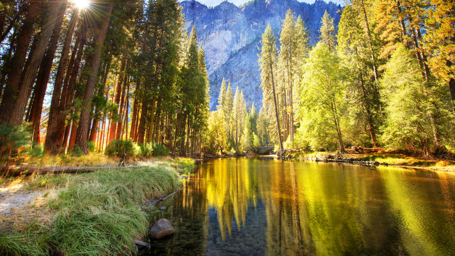 Green and Brown Trees Near Lake During Daytime. Wallpaper in 1920x1080 Resolution