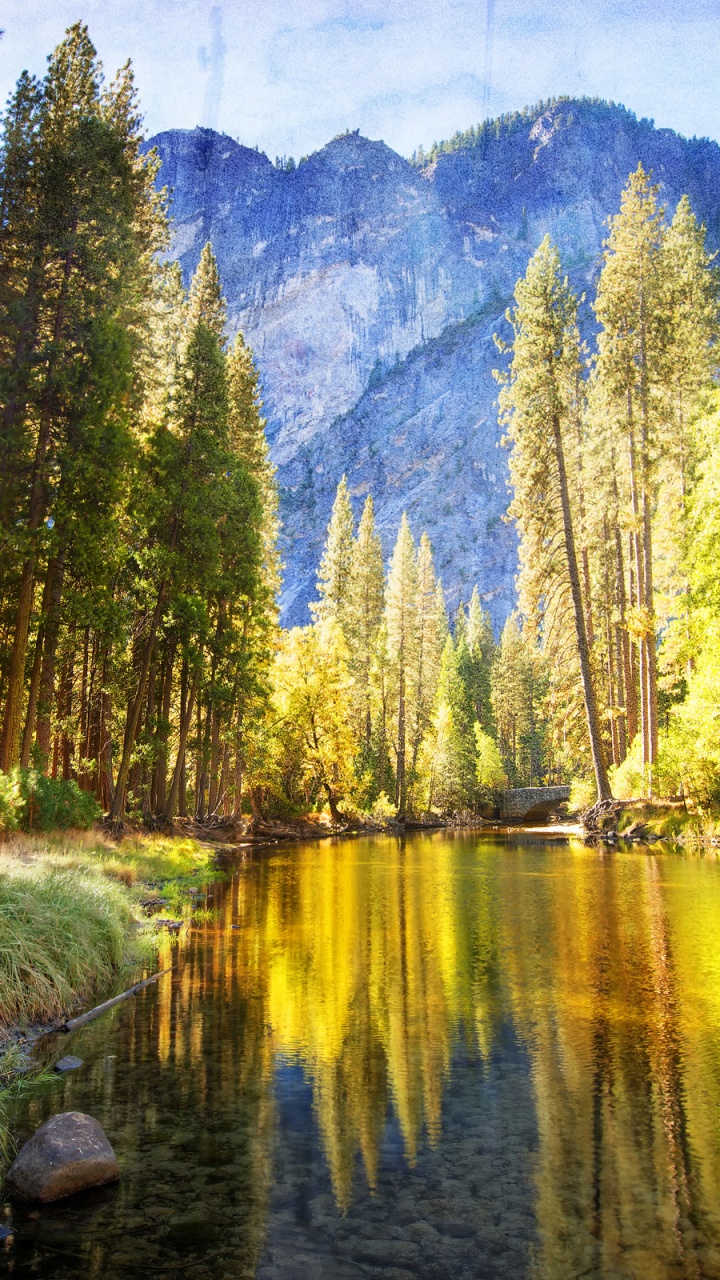 Green and Brown Trees Near Lake During Daytime. Wallpaper in 720x1280 Resolution