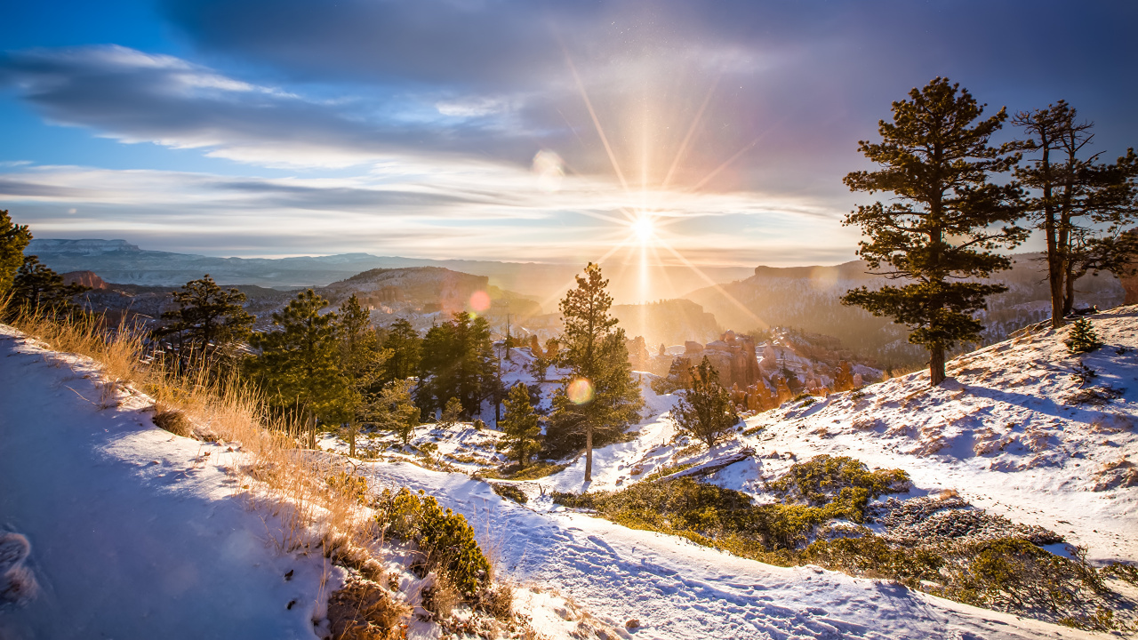 Pinos Verdes Sobre Suelo Cubierto de Nieve Bajo un Cielo Azul Durante el Día. Wallpaper in 1280x720 Resolution