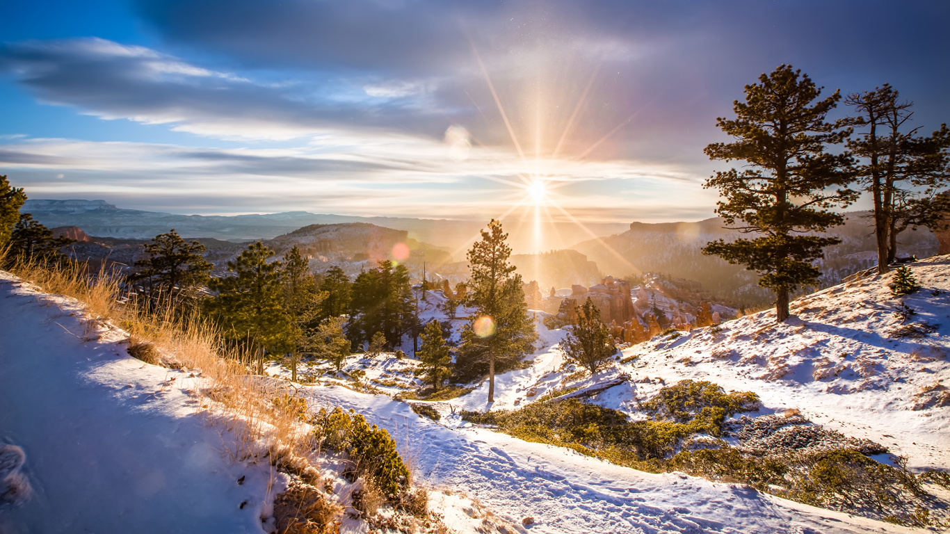 Pinos Verdes Sobre Suelo Cubierto de Nieve Bajo un Cielo Azul Durante el Día. Wallpaper in 1366x768 Resolution