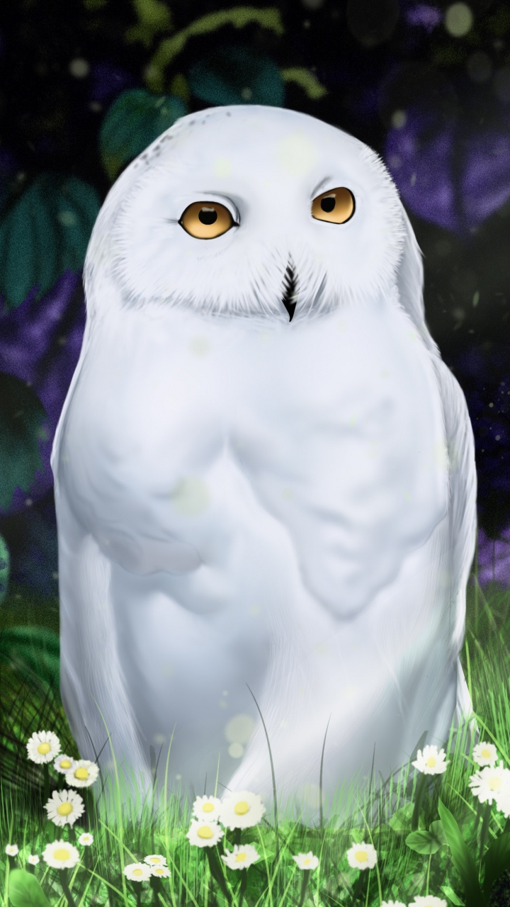 White Owl on Green Grass. Wallpaper in 720x1280 Resolution