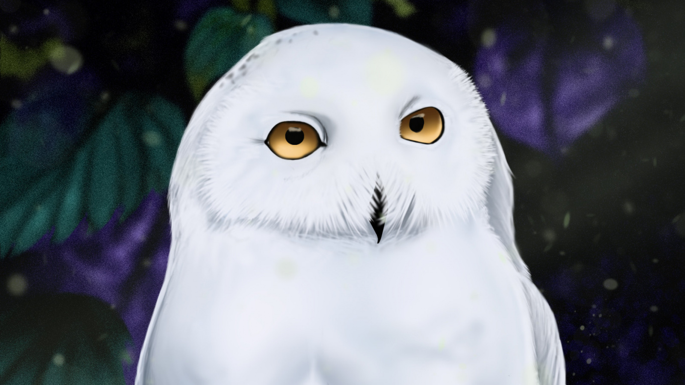 Weiße Eule Auf Grünem Gras. Wallpaper in 1366x768 Resolution