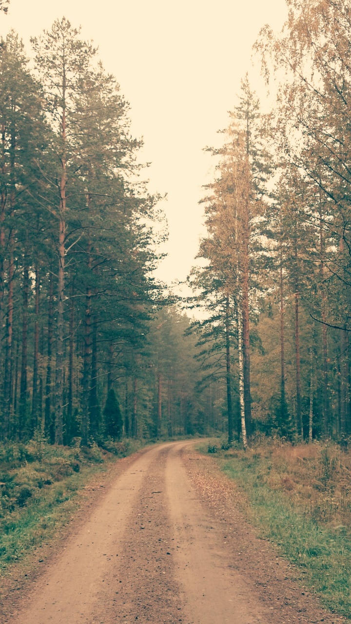 Brown Dirt Road Between Green Trees During Daytime. Wallpaper in 720x1280 Resolution