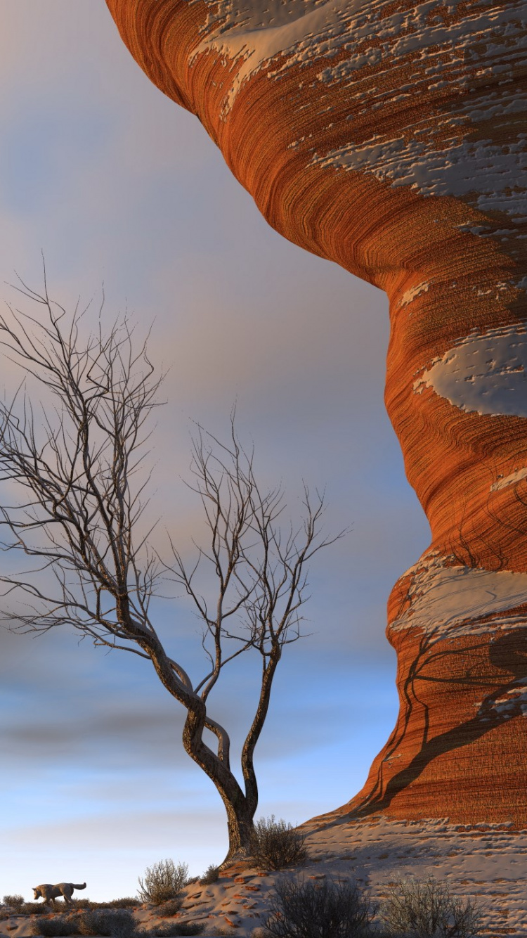 Leafless Tree on Snow Covered Ground Under Cloudy Sky During Daytime. Wallpaper in 750x1334 Resolution