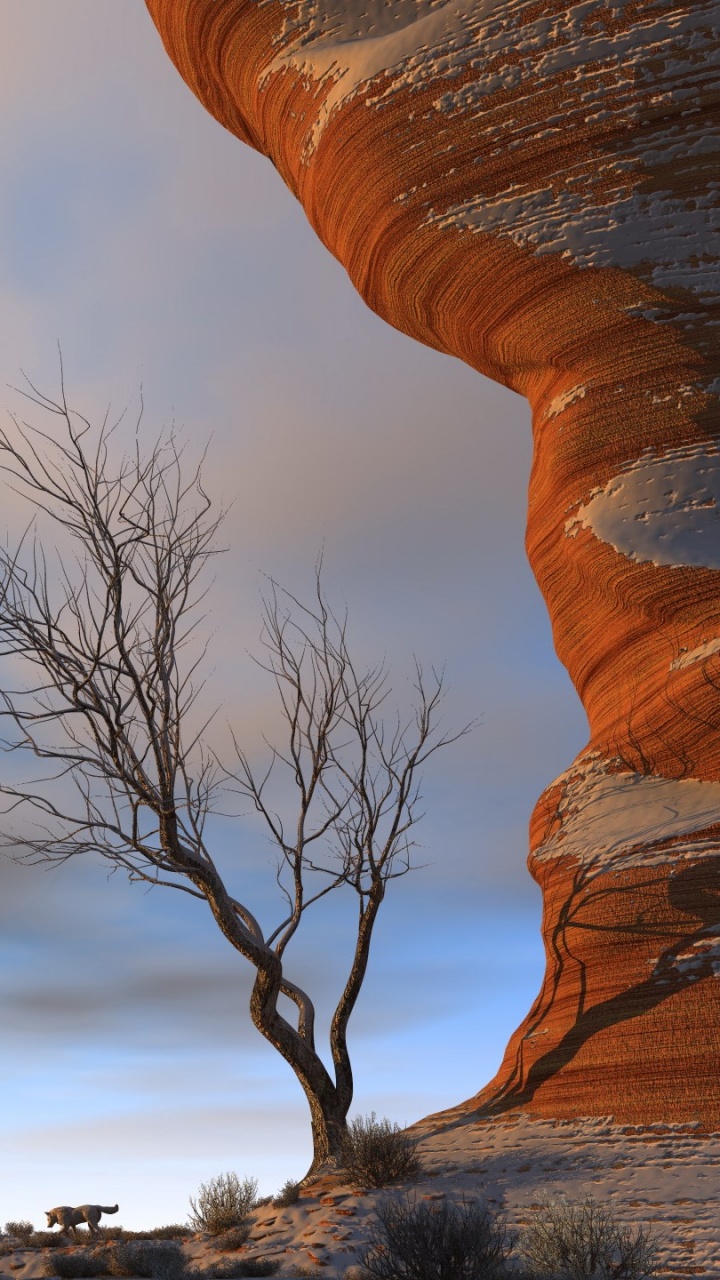 Kahlen Baum Auf Schneebedecktem Boden Unter Bewölktem Himmel Tagsüber. Wallpaper in 720x1280 Resolution