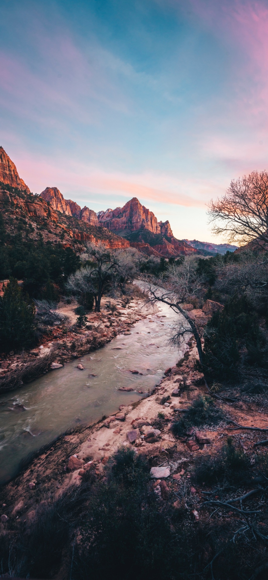 Zion National Park, Cloud, Water, Water Resources, Plant. Wallpaper in 1125x2436 Resolution