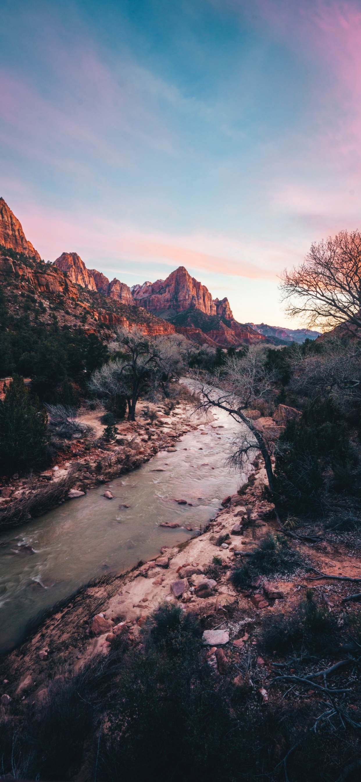 Zion National Park, Cloud, Water, Water Resources, Plant. Wallpaper in 1242x2688 Resolution