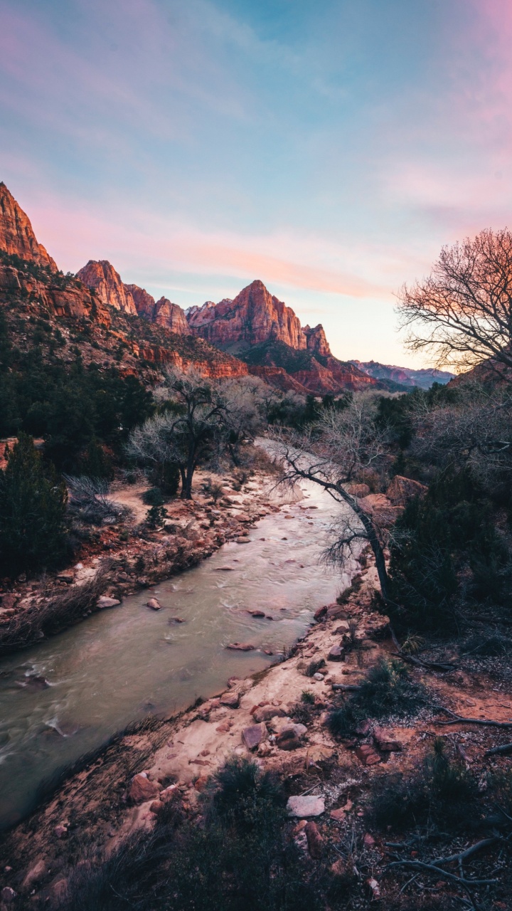Zion National Park, Cloud, Water, Water Resources, Plant. Wallpaper in 720x1280 Resolution