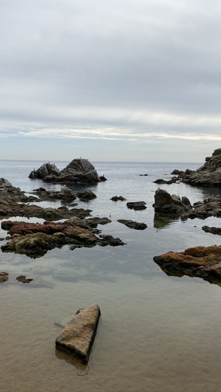 Mer, Eau, Rock, Rive, Côte. Wallpaper in 720x1280 Resolution