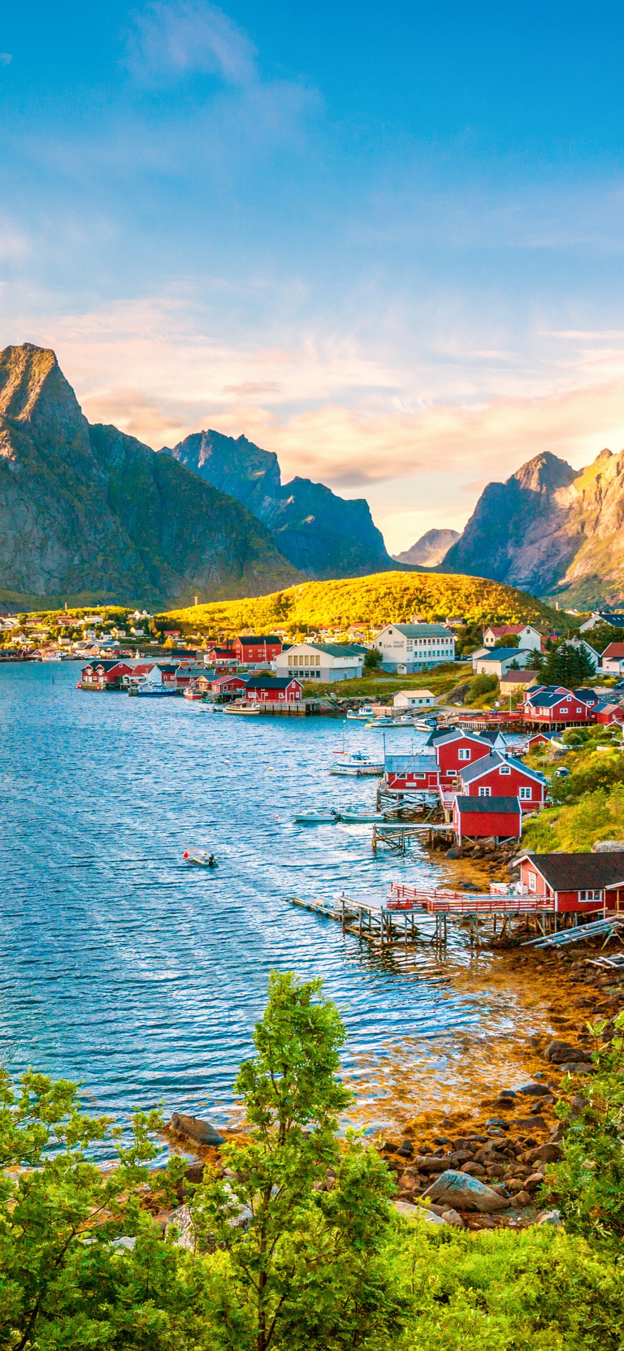 Green Trees Near Body of Water During Daytime. Wallpaper in 1242x2688 Resolution