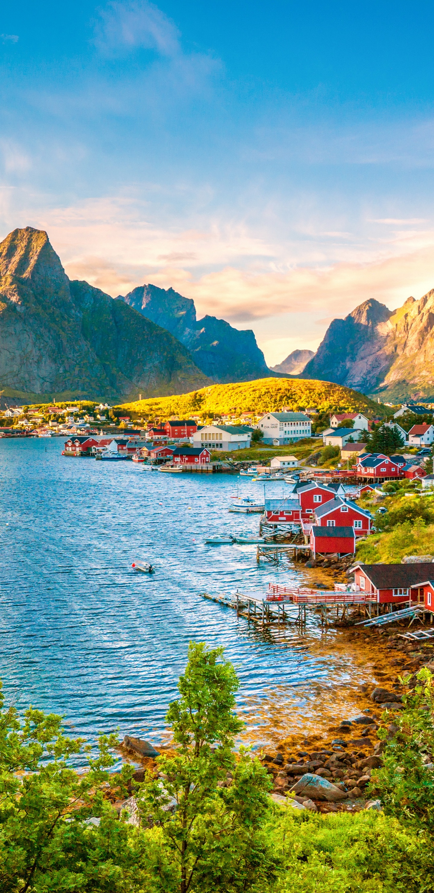 Grüne Bäume in Der Nähe Von Gewässern Tagsüber Water. Wallpaper in 1440x2960 Resolution