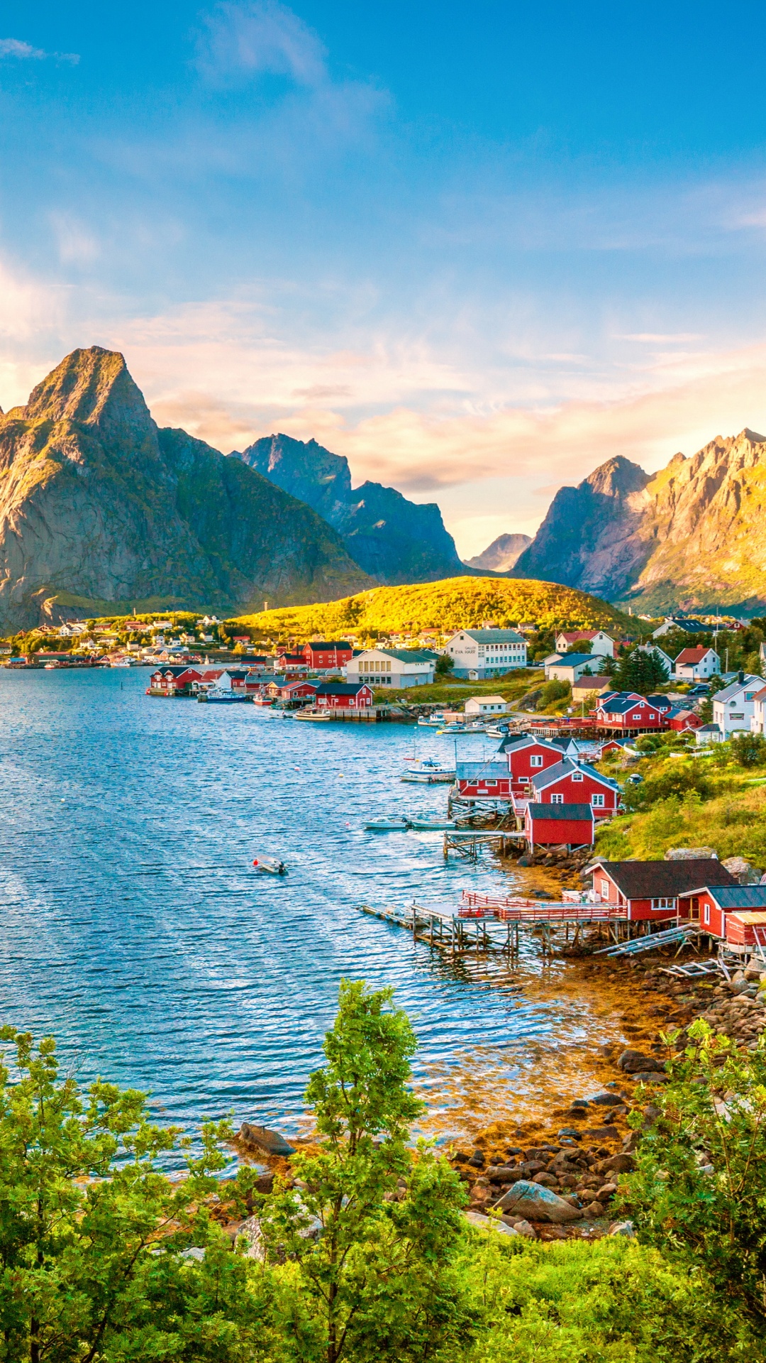 Arbres Verts Près du Plan D'eau Pendant la Journée. Wallpaper in 1080x1920 Resolution