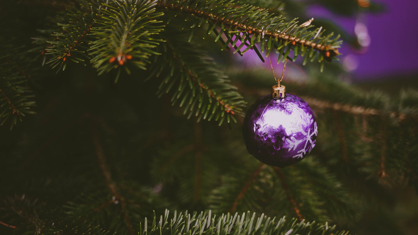 Adorno de Navidad, El Día De Navidad, Sucursal, en Pino Oregón, Decoración de la Navidad. Wallpaper in 1366x768 Resolution