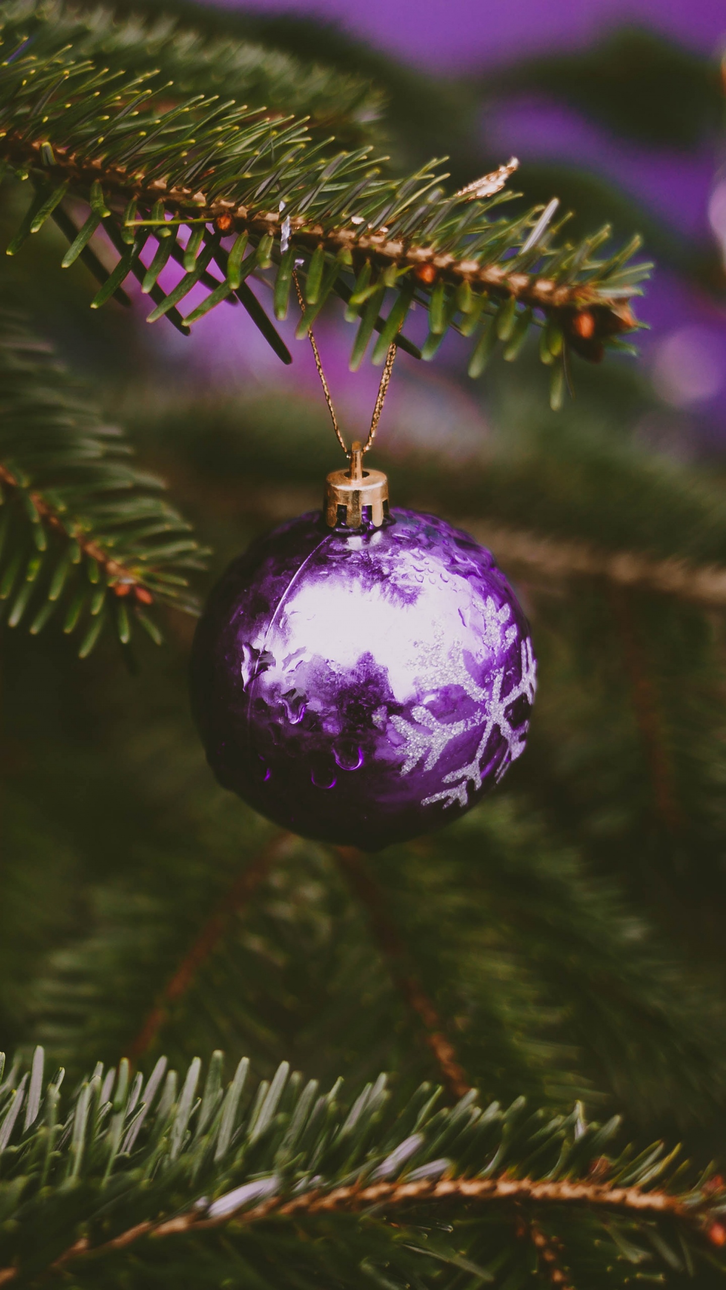 Christmas Ornament, Weihnachten, Weihnachtsbaum, Fir, Verzierung. Wallpaper in 1440x2560 Resolution