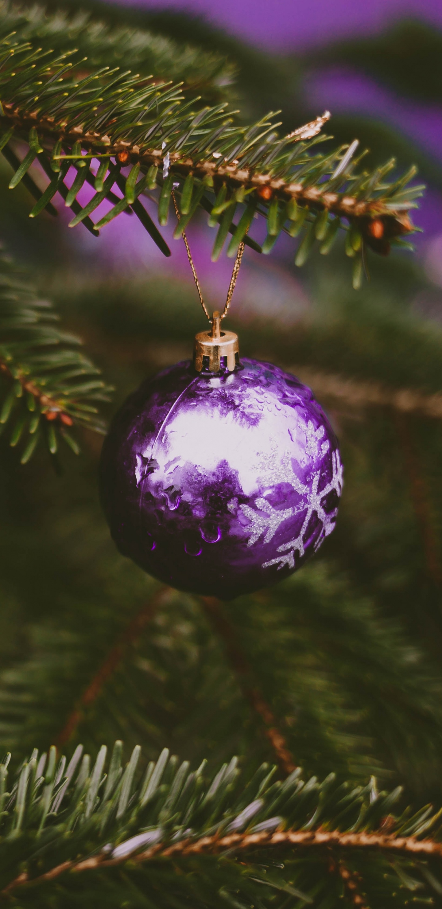 Christmas Ornament, Christmas Day, Christmas Tree, Fir, Ornament. Wallpaper in 1440x2960 Resolution