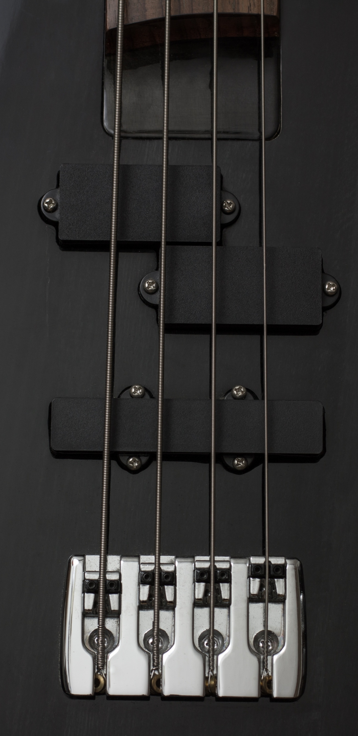Bass Guitar, Guitar, Double Bass, Bass, String. Wallpaper in 1440x2960 Resolution