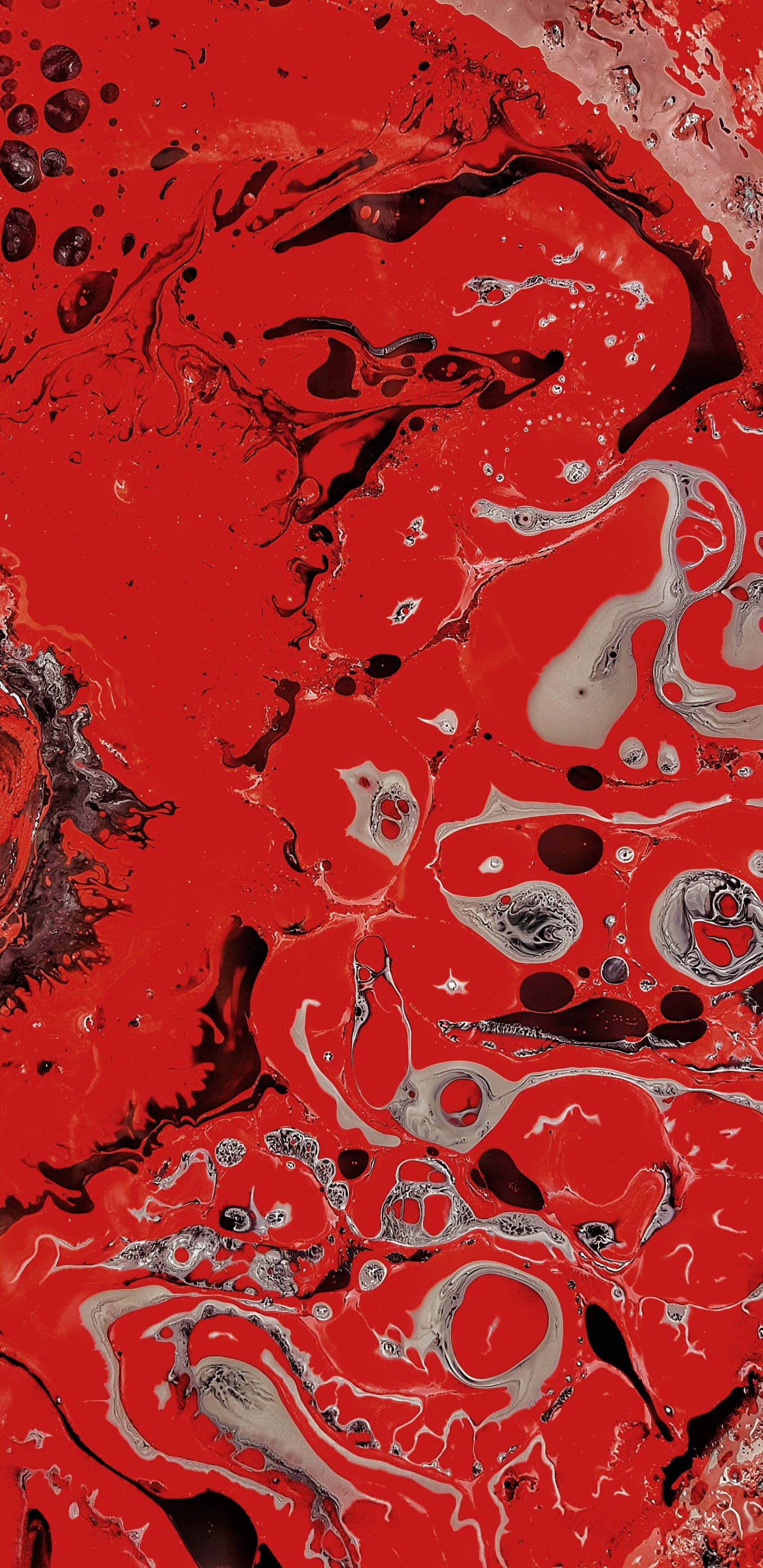 Rote Und Weiße Abstrakte Malerei. Wallpaper in 1440x2960 Resolution