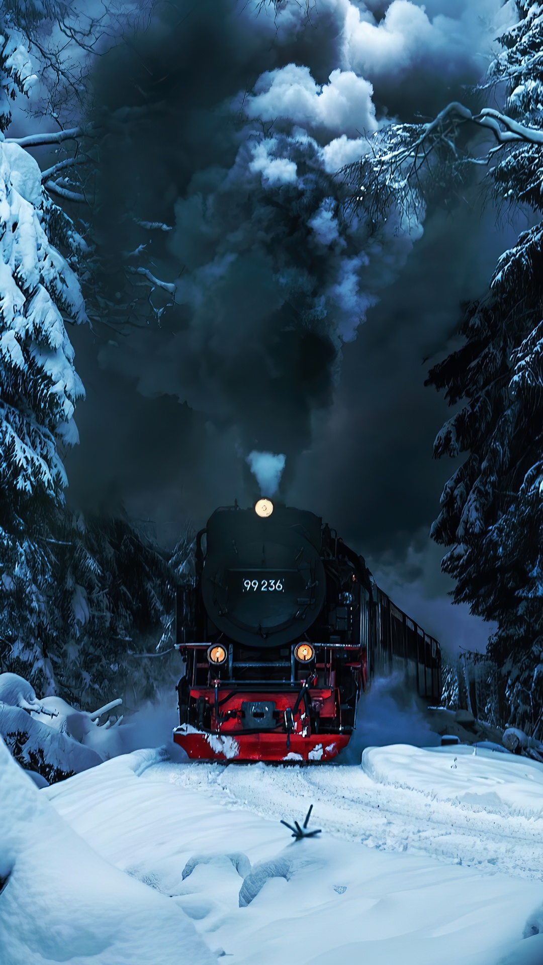 Neige, Train, L'éclairage Automobile, Matériel Roulant, Environnement Naturel. Wallpaper in 1080x1920 Resolution