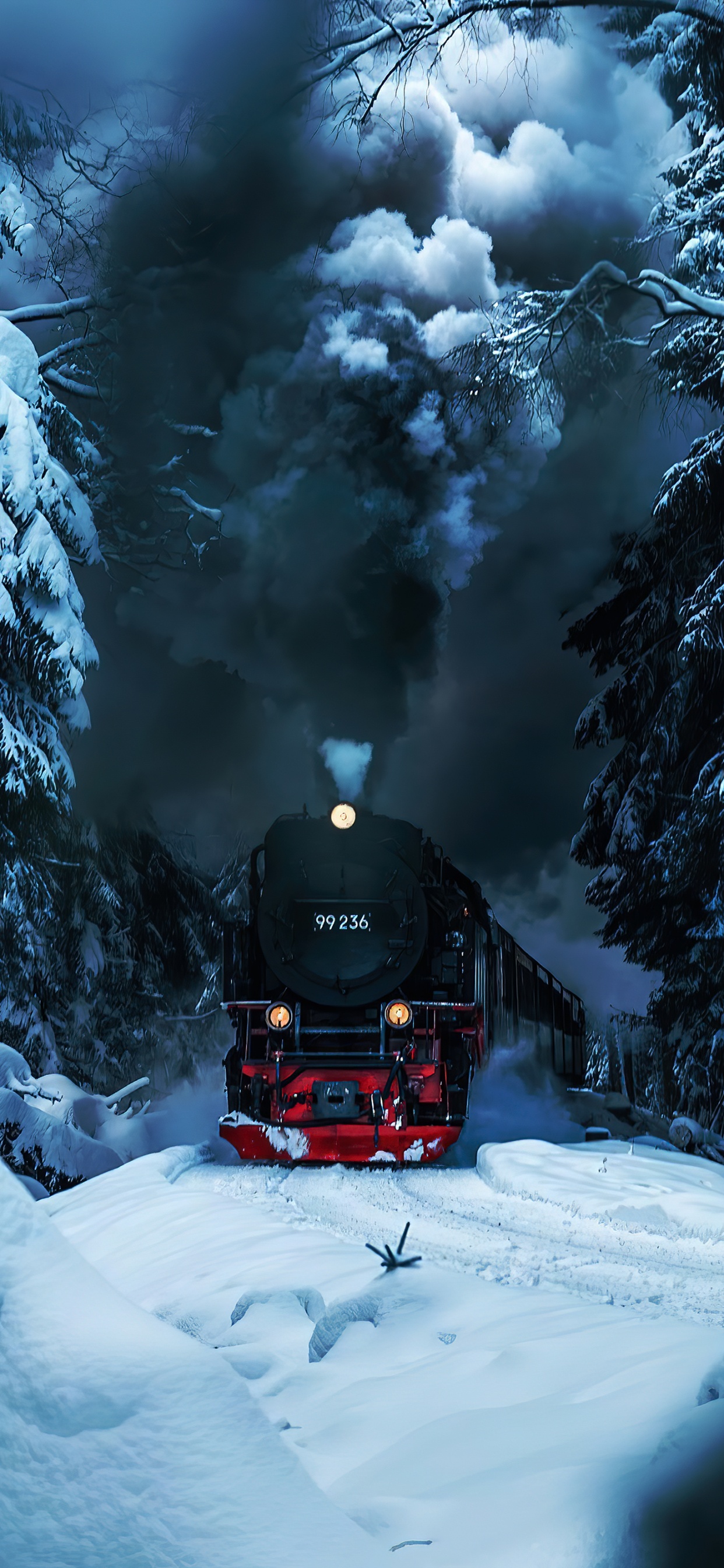 Neige, Train, L'éclairage Automobile, Matériel Roulant, Environnement Naturel. Wallpaper in 1242x2688 Resolution