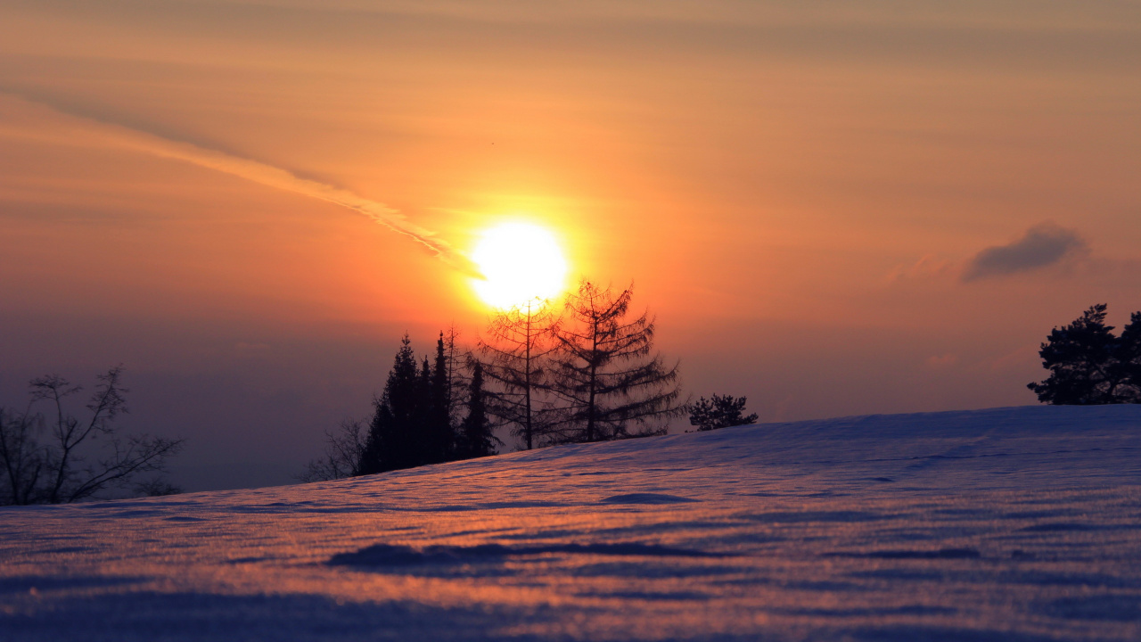 Trees on Snow Covered Ground During Sunrise. Wallpaper in 1280x720 Resolution