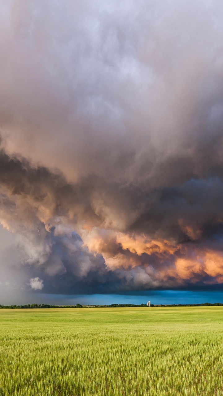 Campo de Hierba Verde Bajo el Cielo Nublado Durante el Día. Wallpaper in 720x1280 Resolution