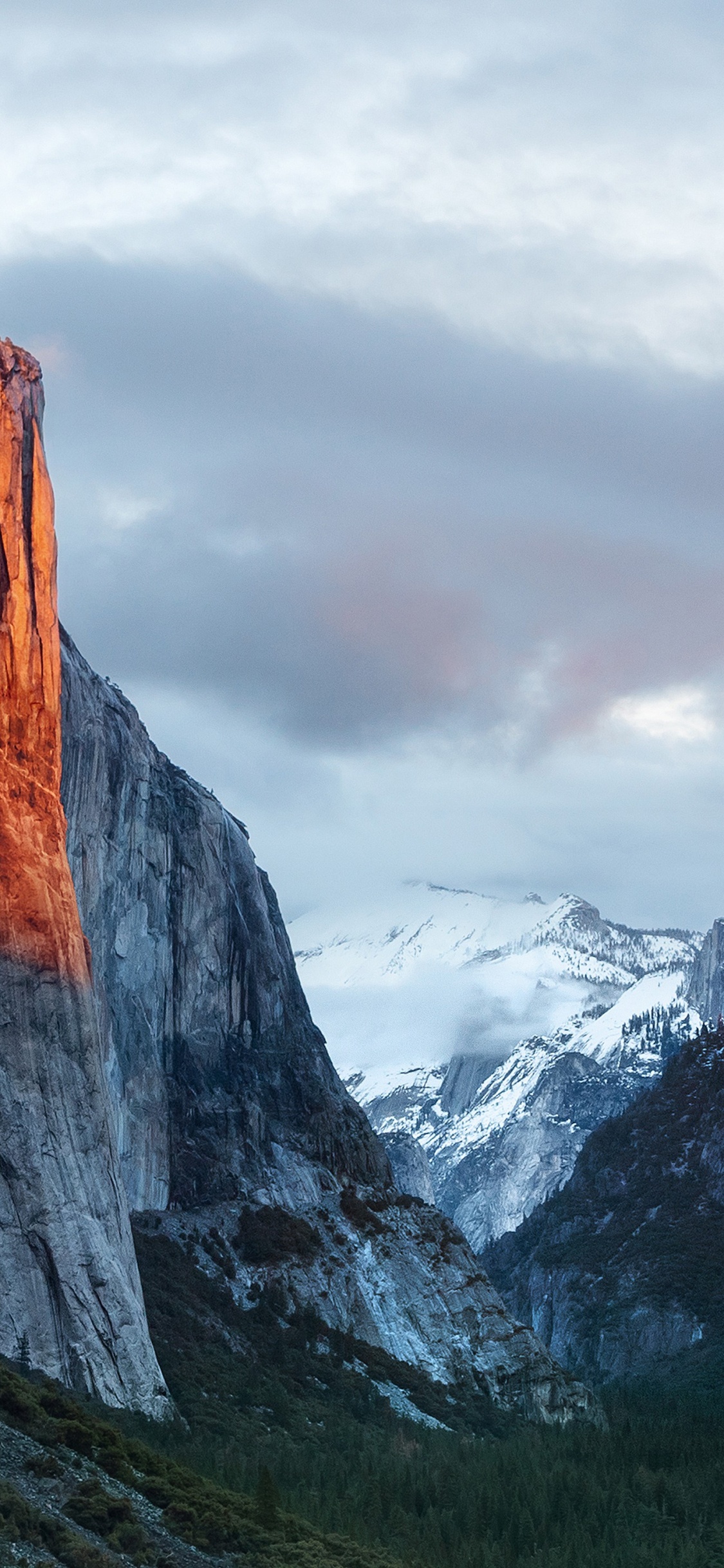 OS X El Capitan, Operating System, Apple MacBook Pro, Apples, Cloud. Wallpaper in 1125x2436 Resolution