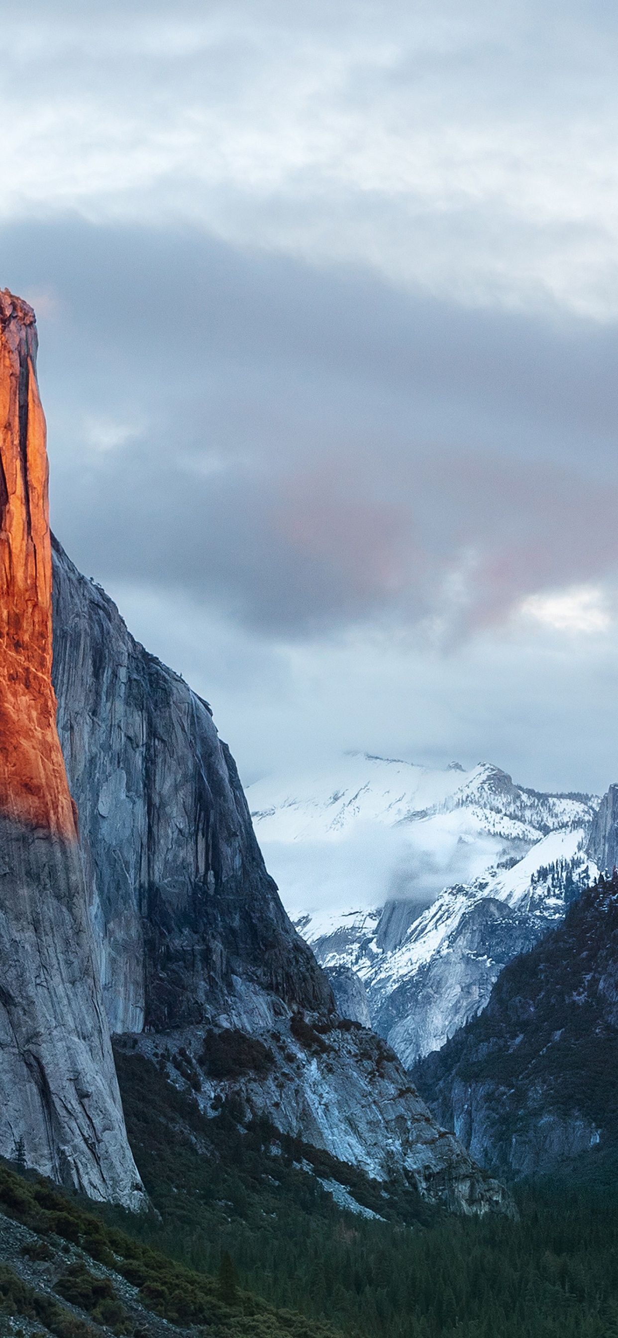 OS X El Capitan, Operating System, Apple MacBook Pro, Apples, Cloud. Wallpaper in 1242x2688 Resolution