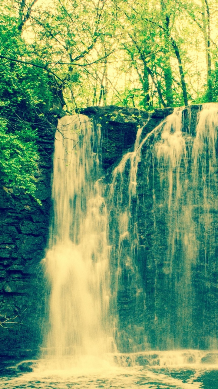 Cascades en Forêt Pendant la Journée. Wallpaper in 720x1280 Resolution