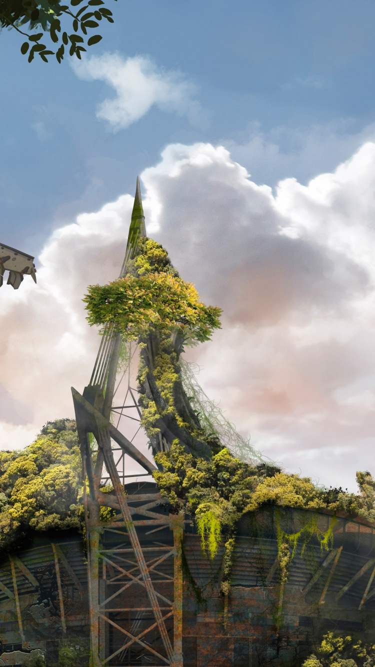 Grüner Und Brauner Baum Unter Blauem Himmel. Wallpaper in 750x1334 Resolution