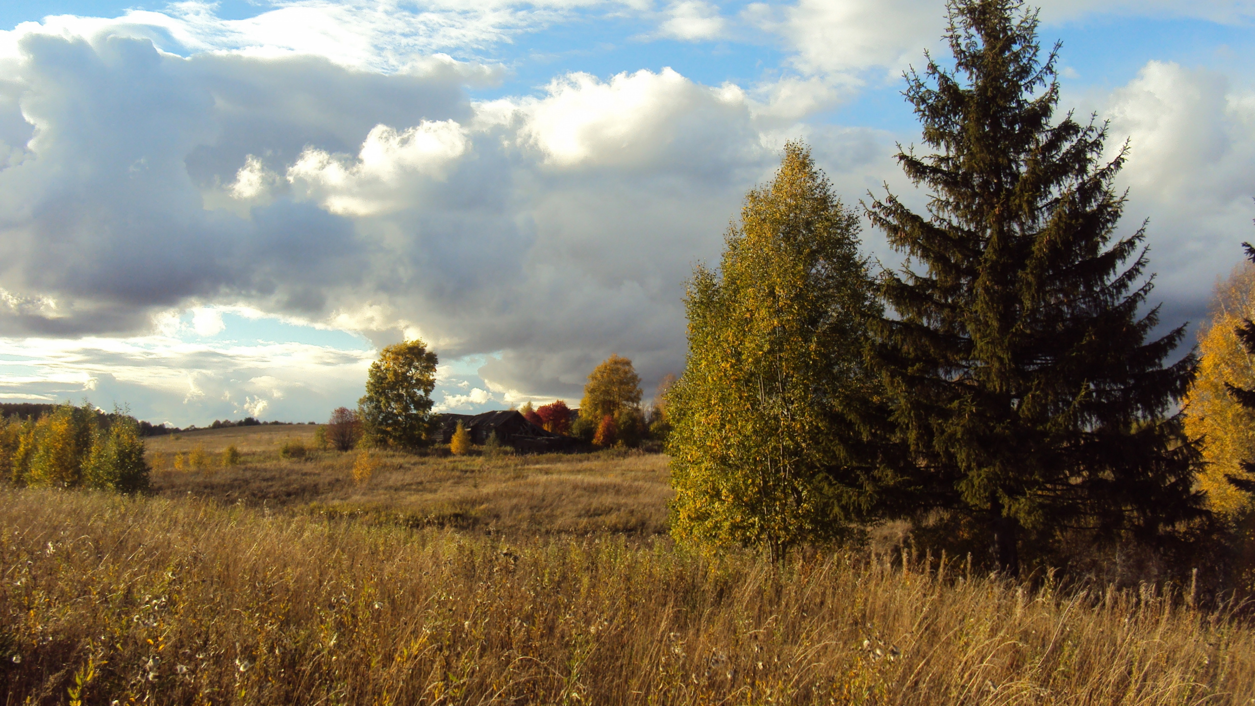 Green Trees Under White Clouds and Blue Sky During Daytime. Wallpaper in 2560x1440 Resolution