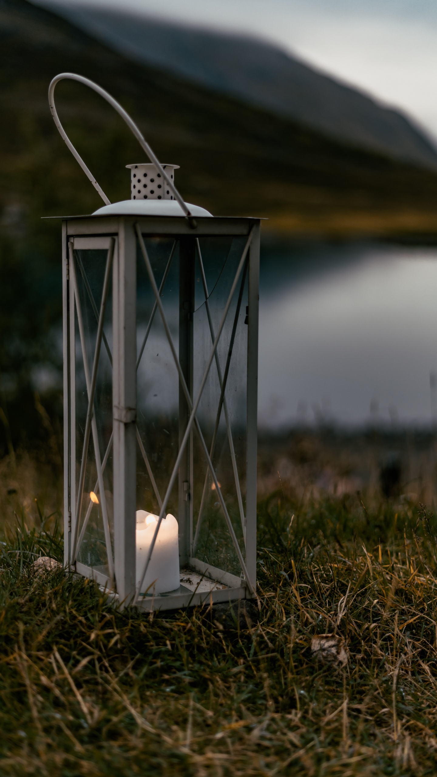 草, 天空, 农村地区, 灯笼, 灯 壁纸 1440x2560 允许