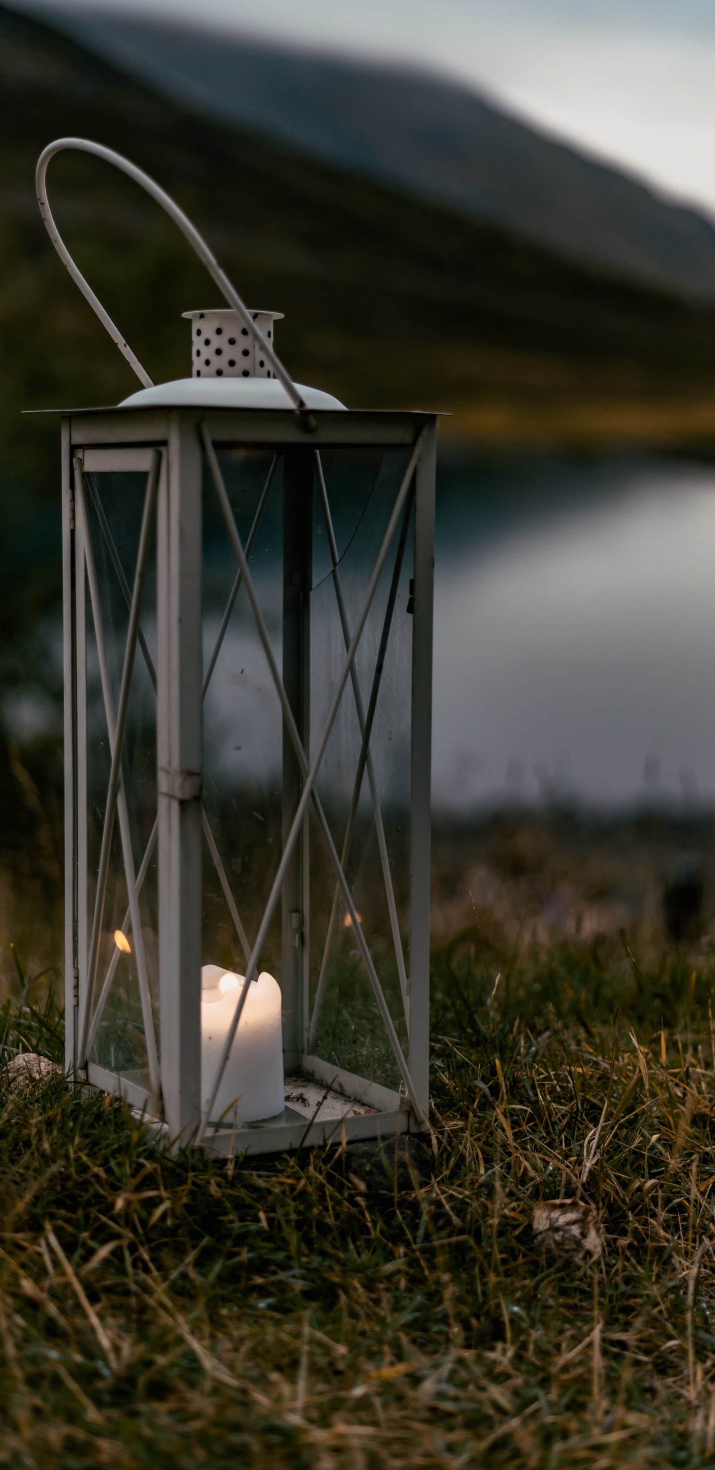 草, 天空, 农村地区, 灯笼, 灯 壁纸 1440x2960 允许