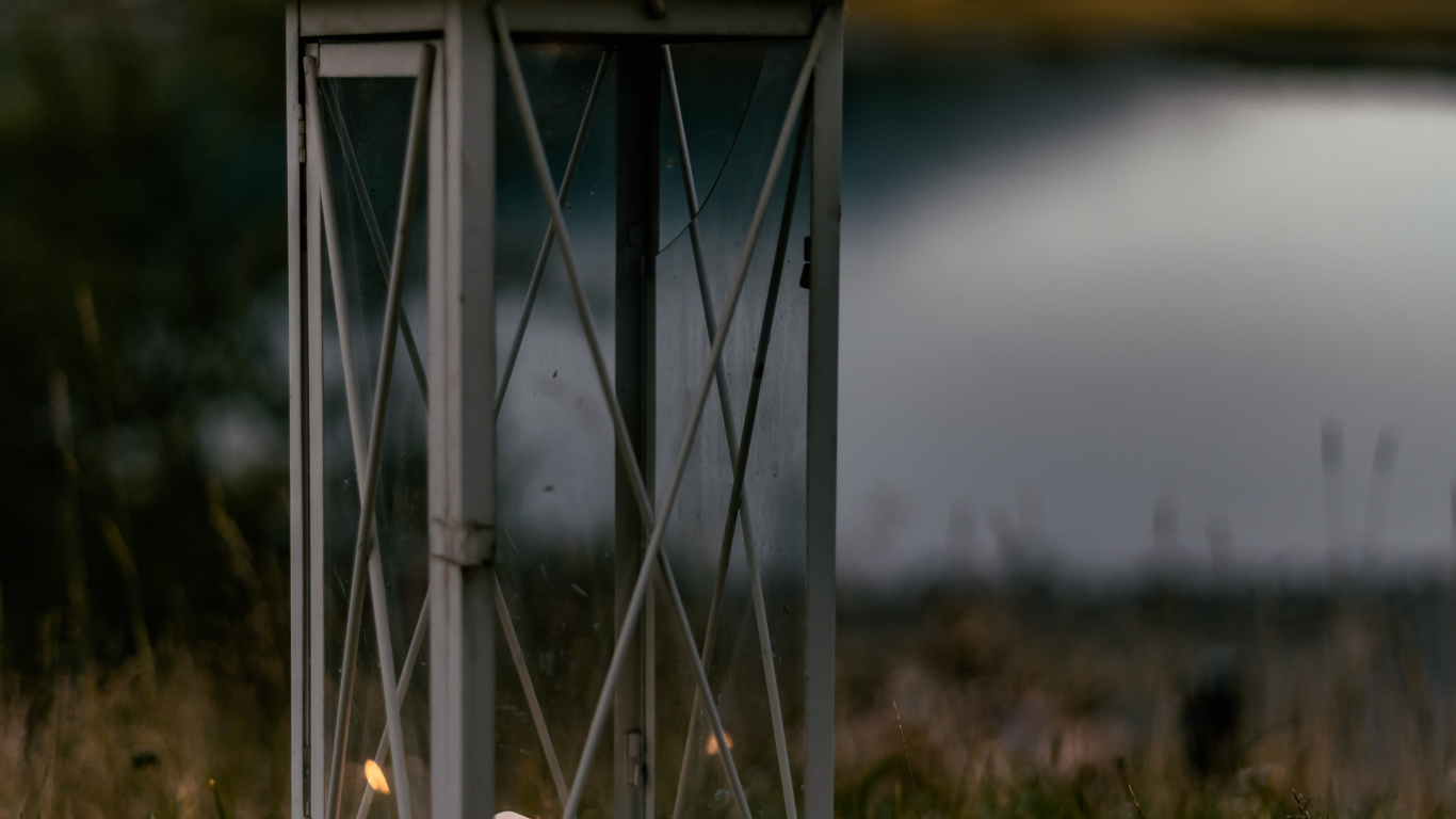 Linterna de Vela Blanca Sobre la Hierba Verde Durante el Día. Wallpaper in 1366x768 Resolution